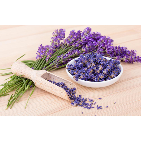 اسطوخودوس Lavender