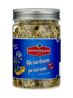 گلپر Heracleum persicum
